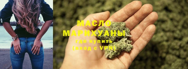 сатива Вяземский