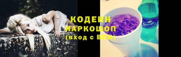 сатива Вяземский