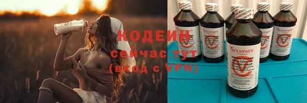 сатива Вяземский