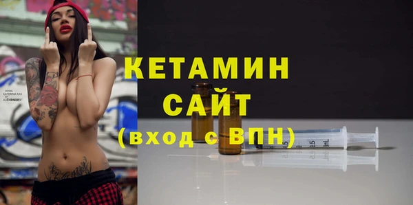 сатива Вяземский