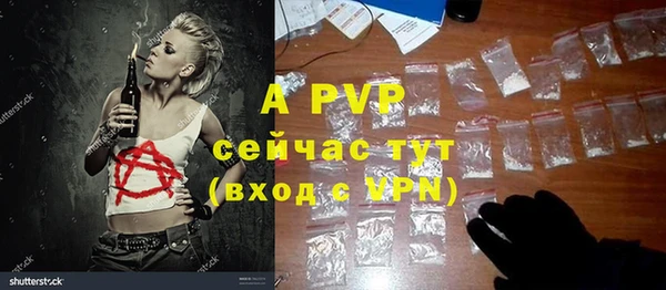 сатива Вяземский