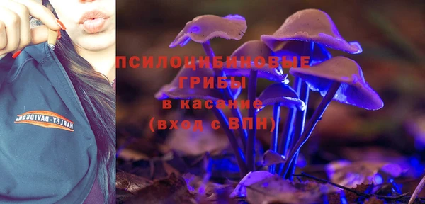 мдпв Вязьма