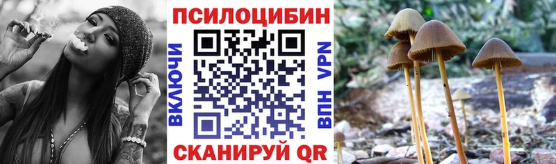 Псилоцибиновые грибы Cubensis  как найти закладки  Зеленогорск 